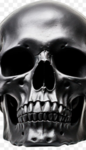 csoc (bloodline)