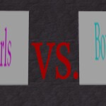 Girls Vs Boys Sword Battle