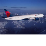 Delta Airlines Pilots and Flight Attendants