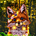 + Wilderness Creations +