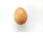 The People Who Eat Eggs