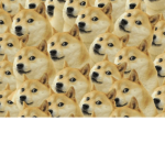 The DogePlace