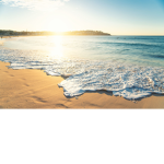 have the beach vibes.