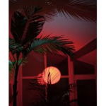 ᴘʀᴏꜱᴋɪʟʟᴢ'ꜱ ʜᴀɴɢᴏᴜᴛ