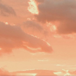 Sunset Clothing LLC.