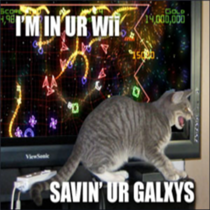 Funny cats Roblox decal