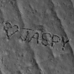 jaspy