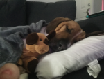 Doggy best friends group