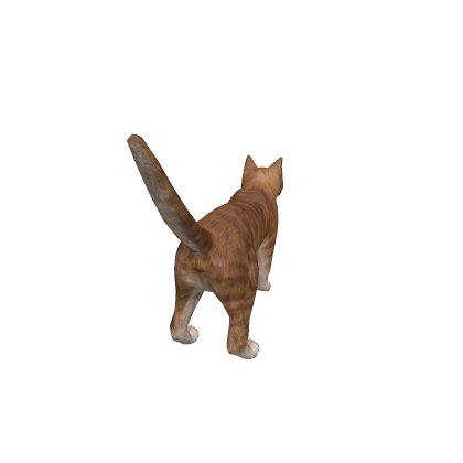 cat