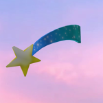 Make A Wish Donation