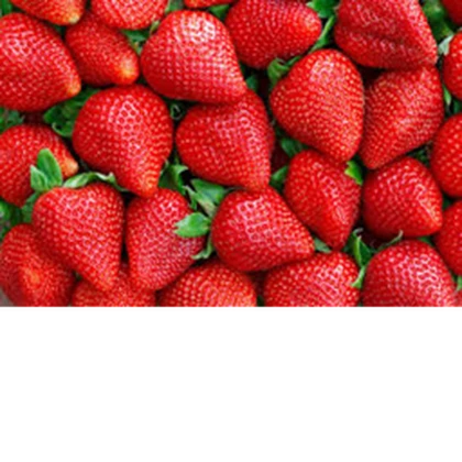 Strawberriana Roblox group icon