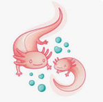 Axolotl love studios