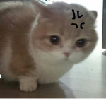 qangsta