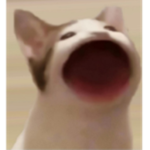 <Pop_Cat ARMY>