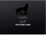 Cryptic Wolf Studios
