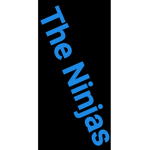 The ninjass
