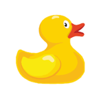 Ducky life group