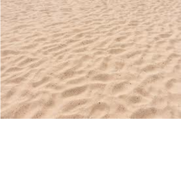sandy donations