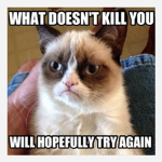GRumpy kingdum