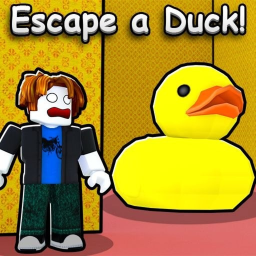 Duck Escape