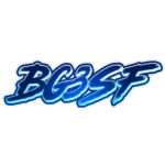 BG3SF