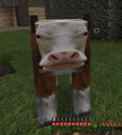 MOO GAMES!