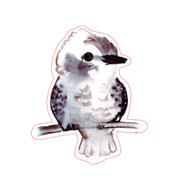 IcecreamScoops Pirate Life