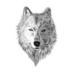 Wilcze/Ziomki