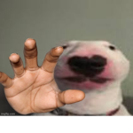 name your walter