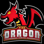Fans Of FiredragonGamingTv