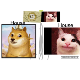 Doge and floppa city