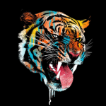 TygaStudios