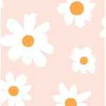 ~Kawaii k.i.t.t.y~