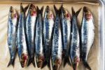 Gloopy Sardines