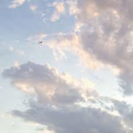 -UwU Incorporated-