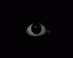 (.C.A.O.L.)
