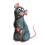 RAT UNITED SUPPORT