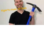 Tiger's River Of Fish