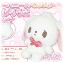 ꒰🎀꒱