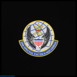24th Special Tactics Squadronᅠ