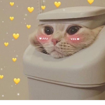 Close frens i know u.u