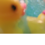 Duckling fans studio