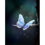 Butterfly kindness