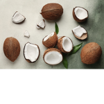 Coconut squad._.