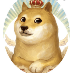 Doge Runner