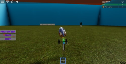 Muscle Simulator (BETA)