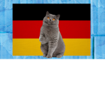 Germany Gamers