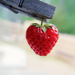 heart melon