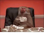 Monkey group ooh ooh aah aah