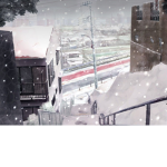 Snowy Wonderland